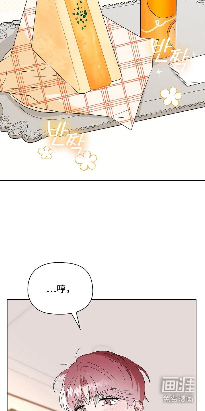 第19章：整理思绪
