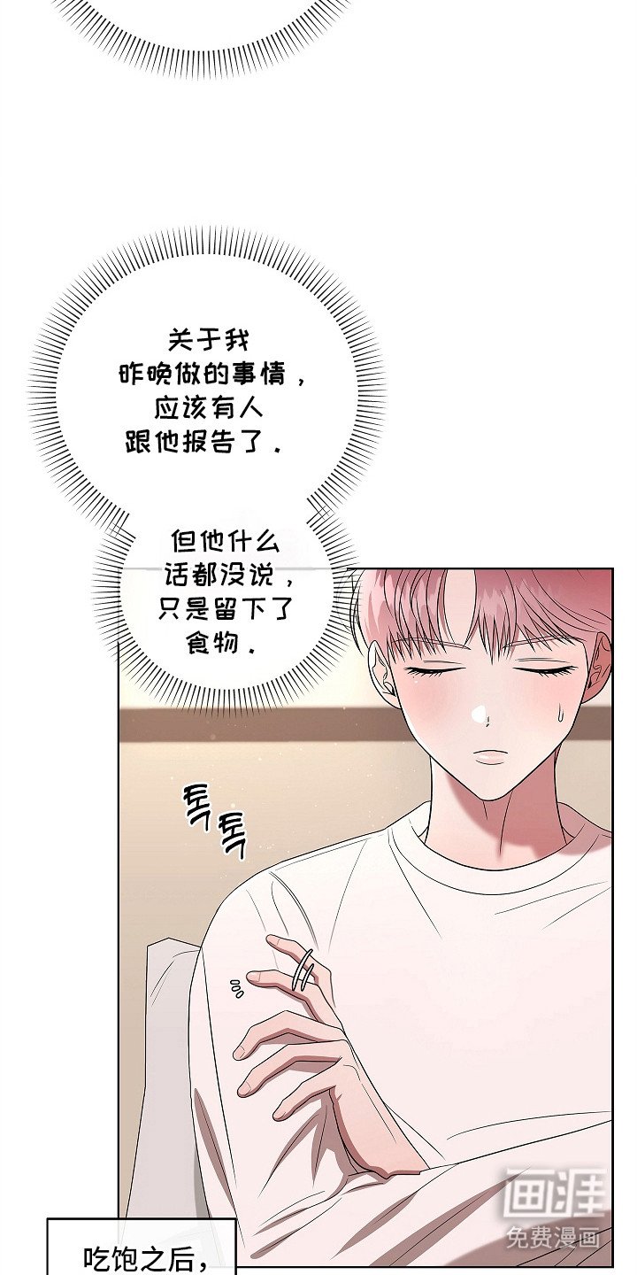 第19章：整理思绪