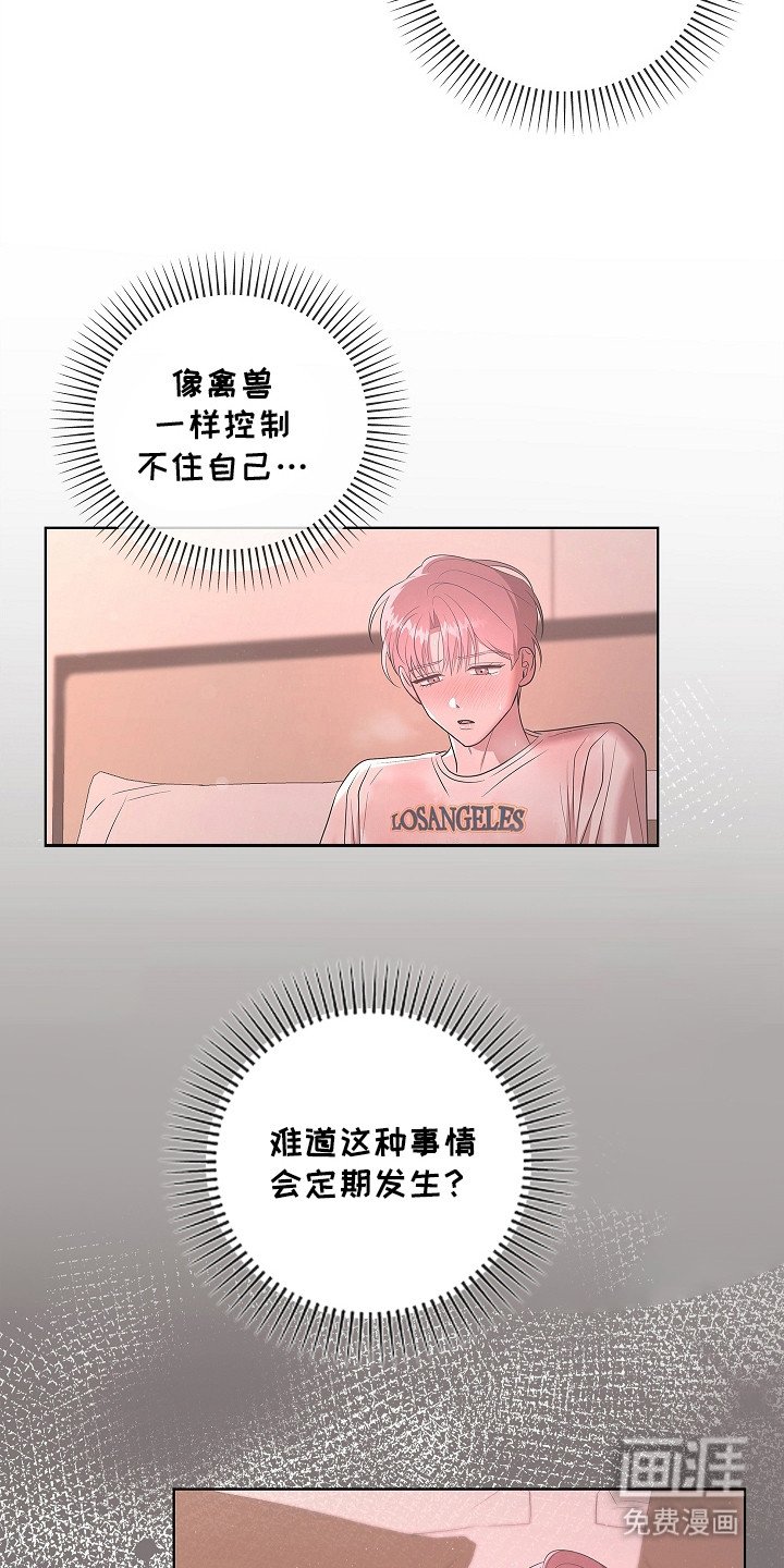 第19章：整理思绪