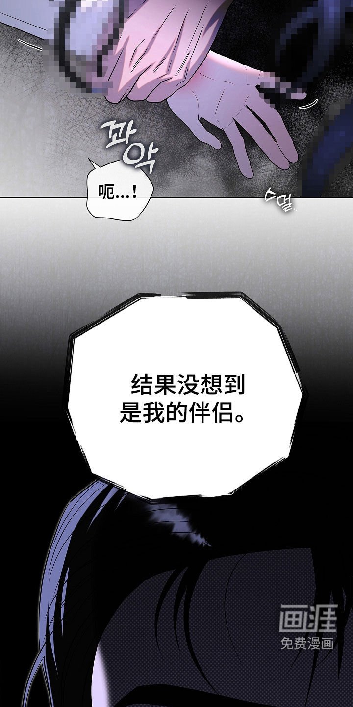 第20章：一见钟情