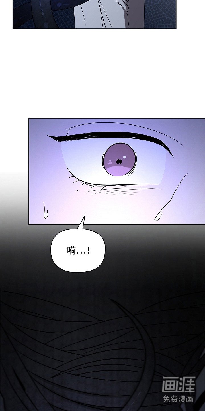 第5章：见面聊