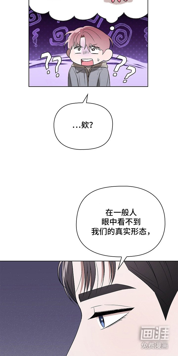 第7章：特殊体质