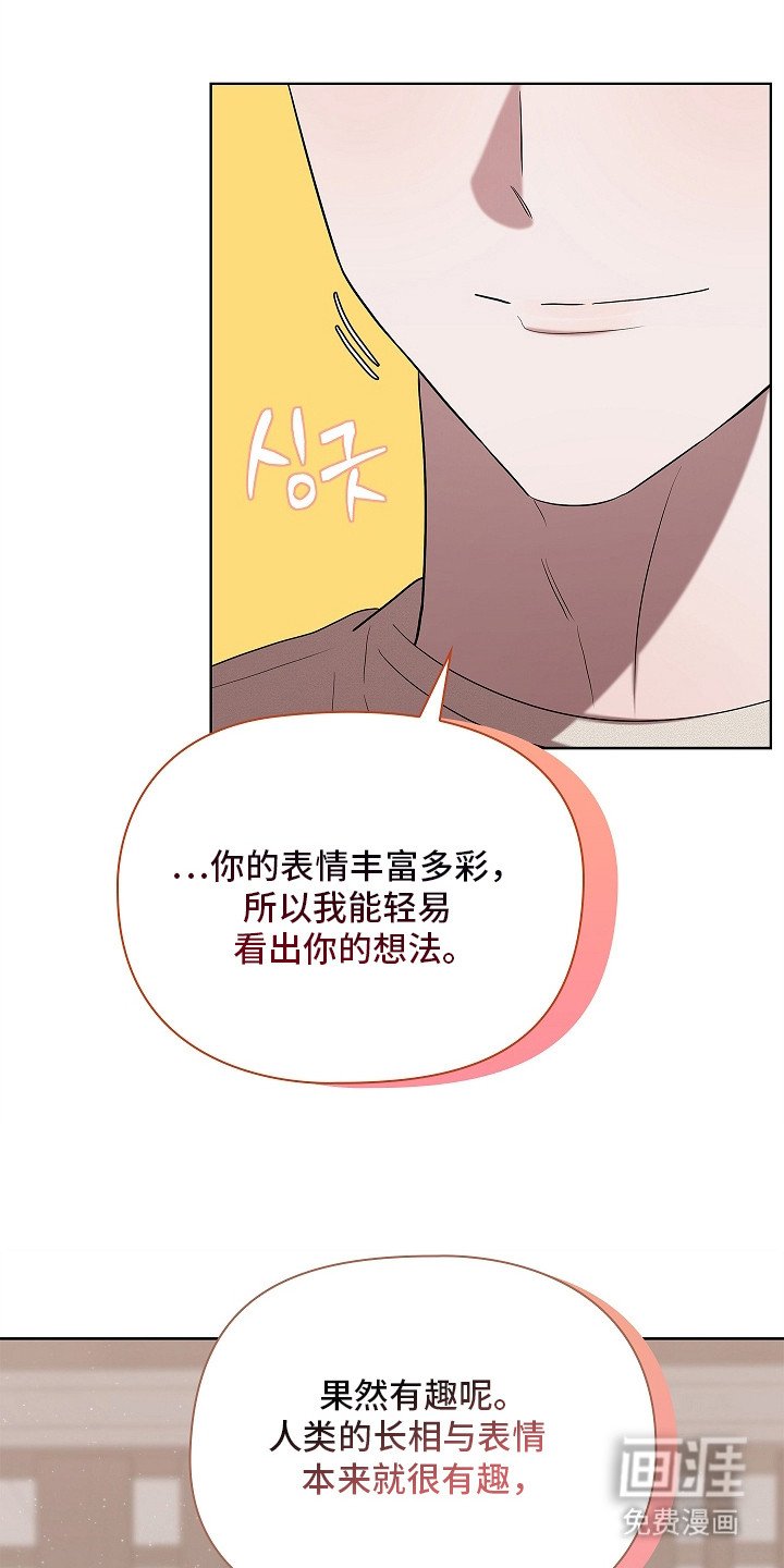 第8章：很有趣