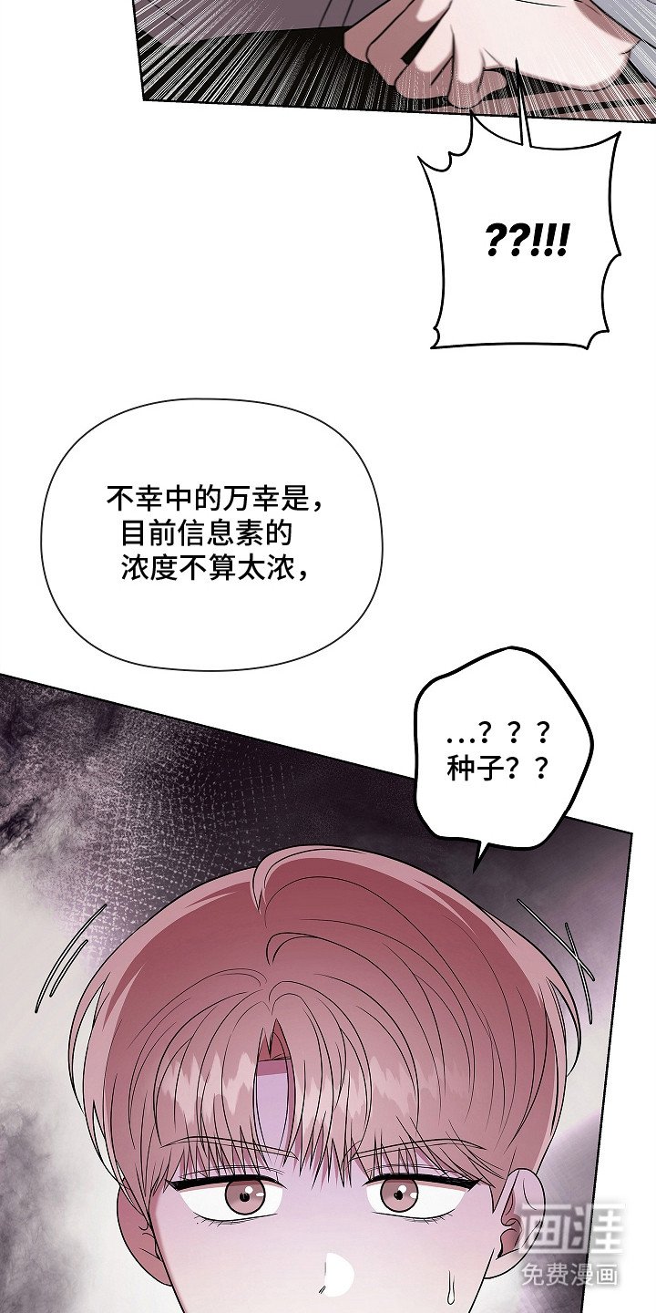 第9章：种子