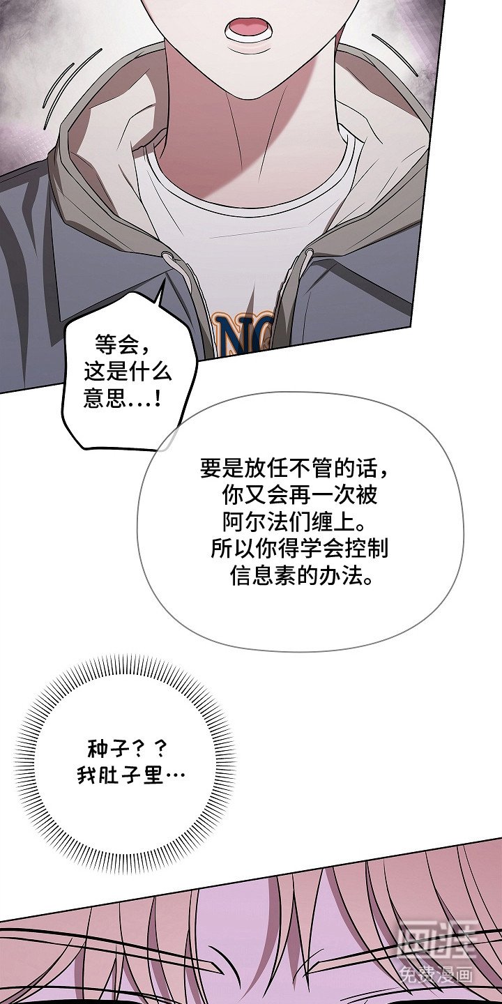 第9章：种子