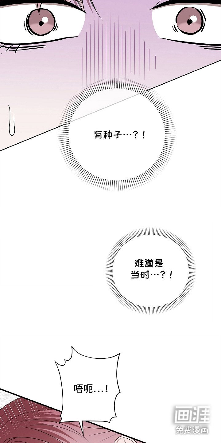 第9章：种子