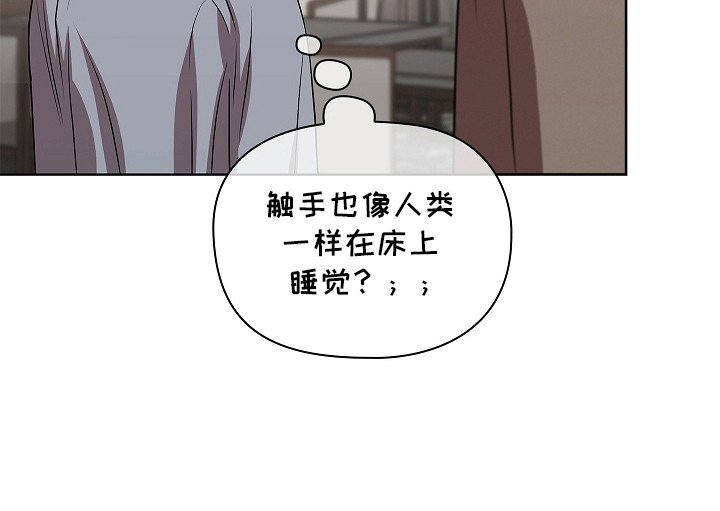 第9章：种子