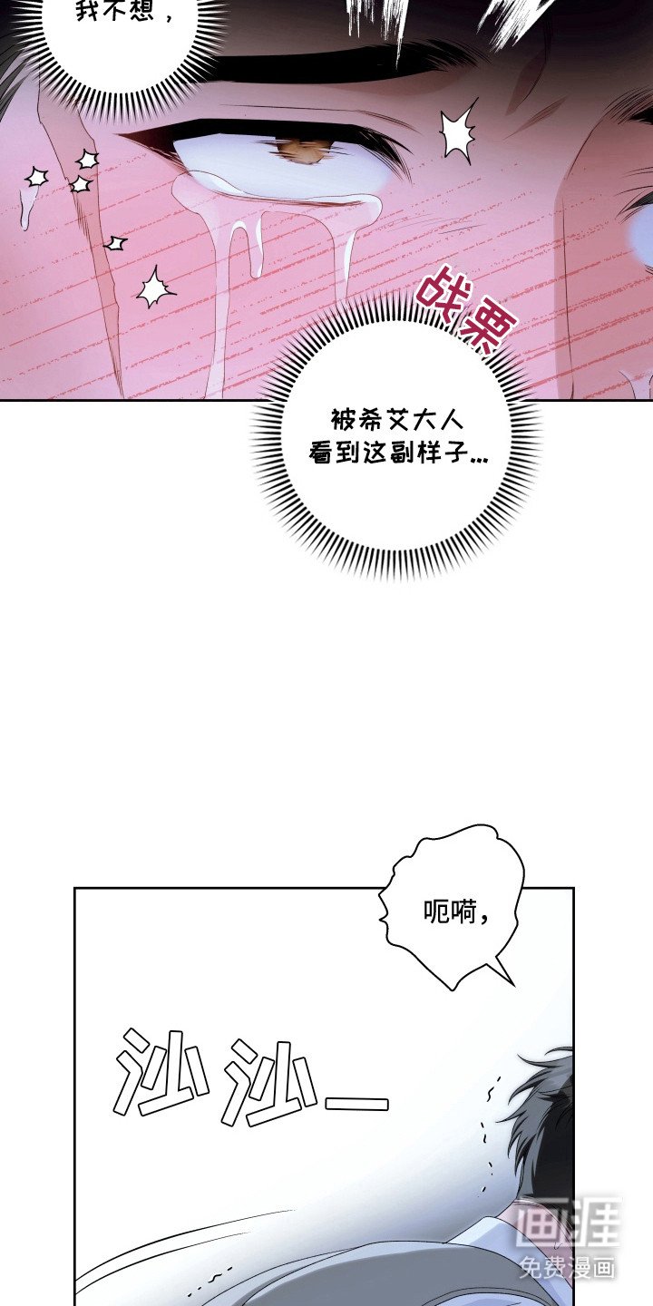 第10章：亲眼目睹