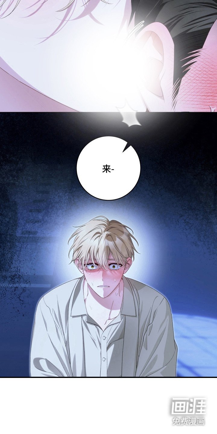 第12章：命运使然