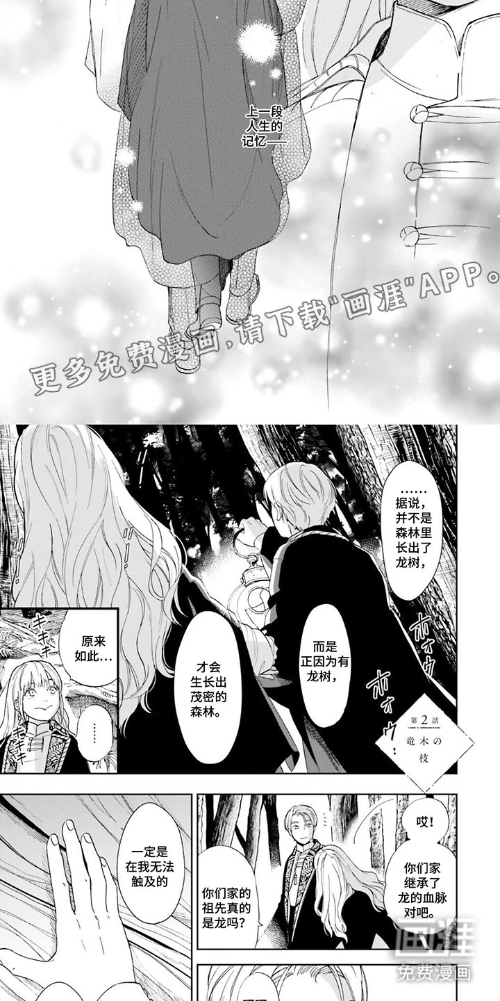第5章：认错人了