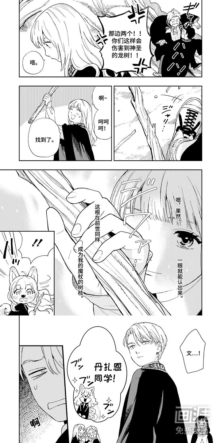第6章：完了
