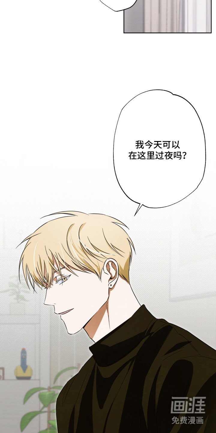 第10章：道歉