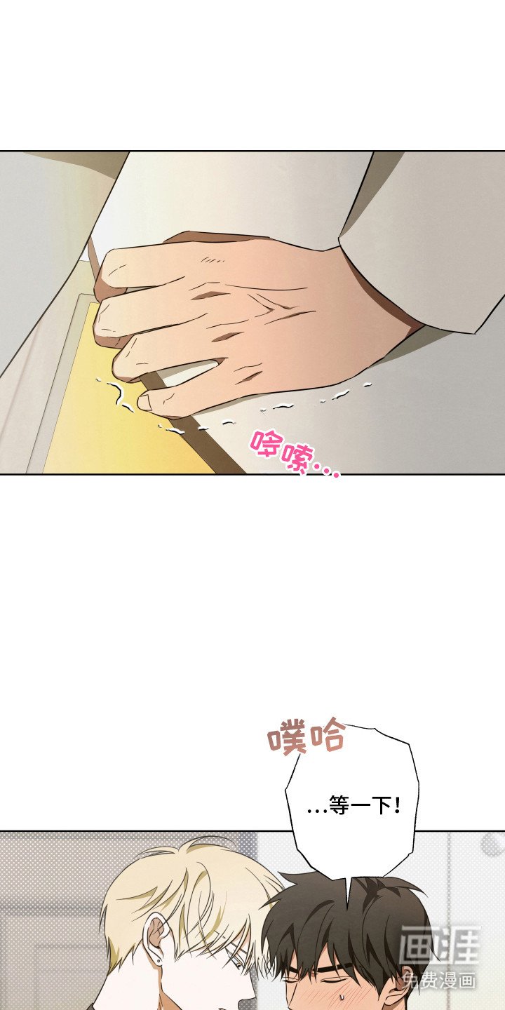 第11章：顺水推舟