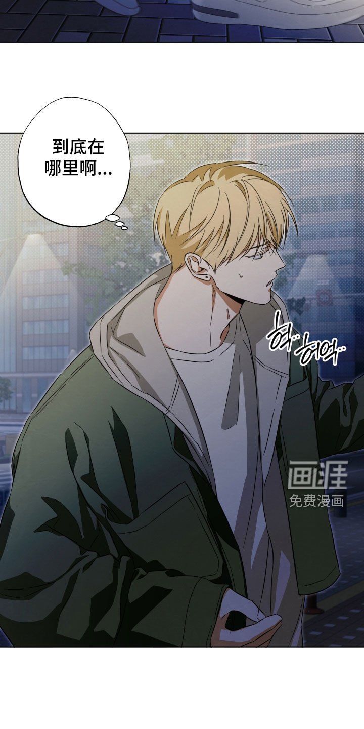 第14章：寻找