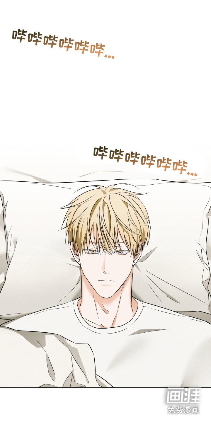 第2章：无法理解