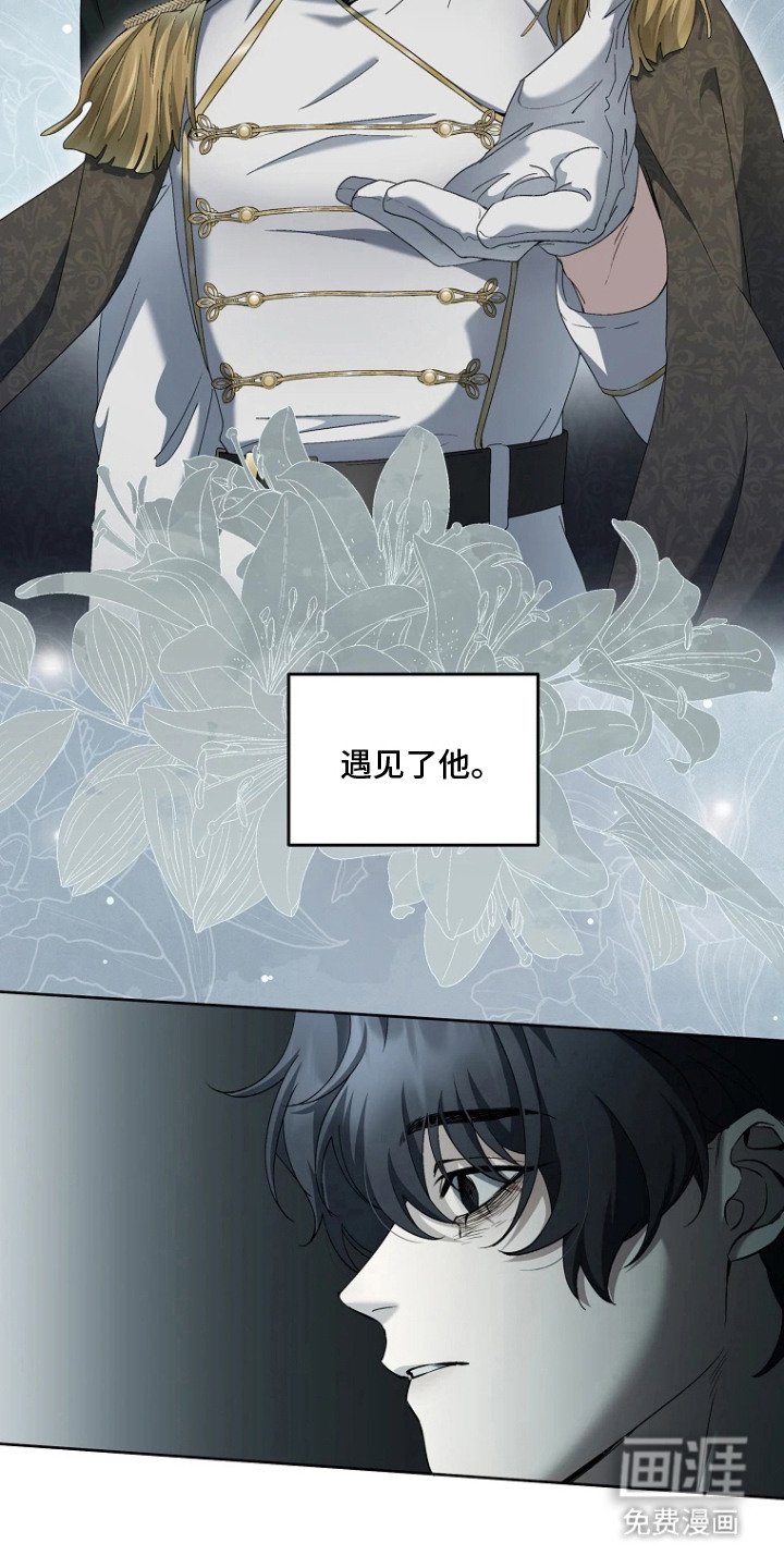 第1章：理想型