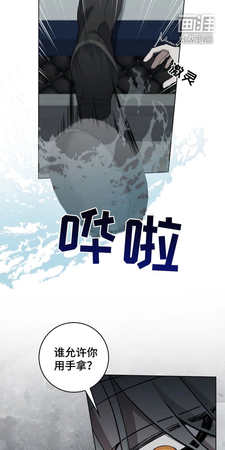 第17章：狂热粉丝