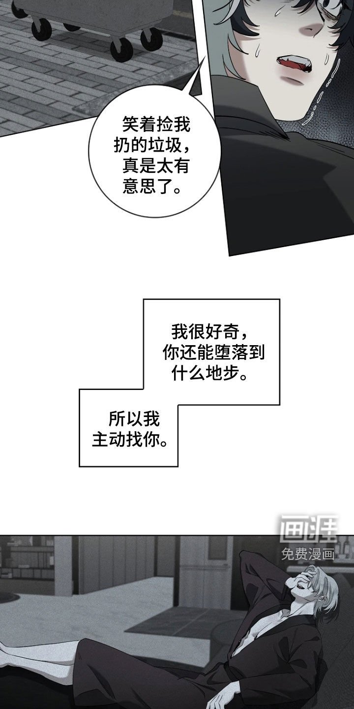 第17章：狂热粉丝