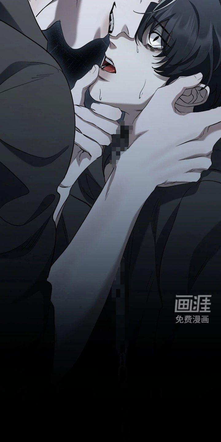 第17章：狂热粉丝