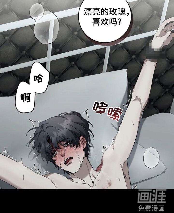 第19章：不听话