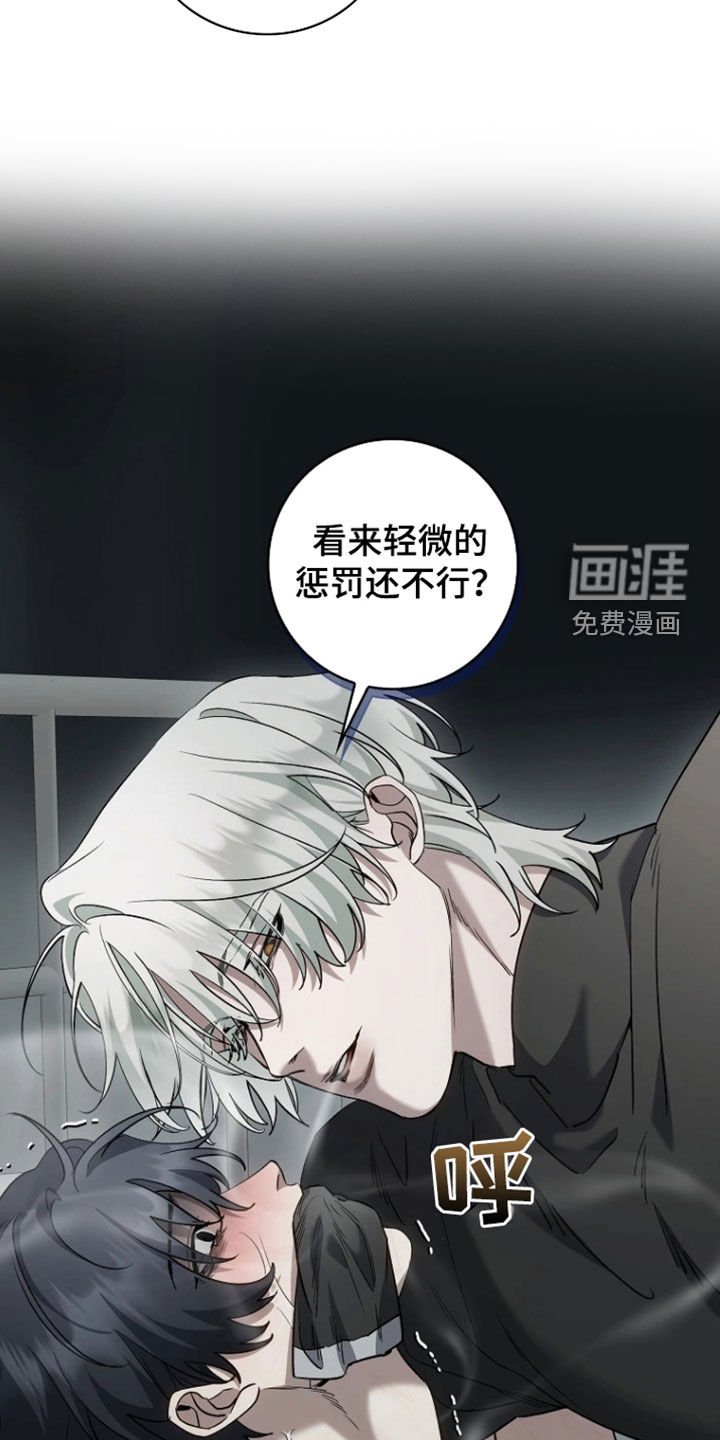 第20章：生日禮物