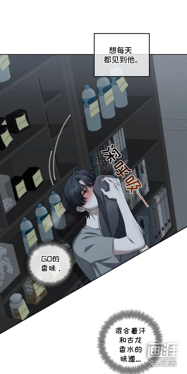 第8章：收藏品