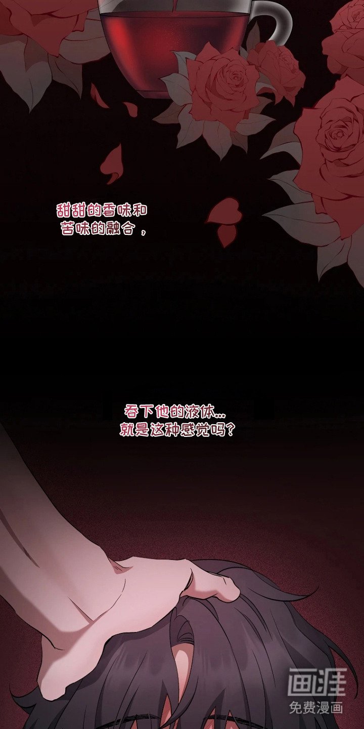 第8章：收藏品
