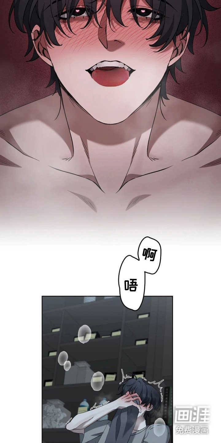 第8章：收藏品