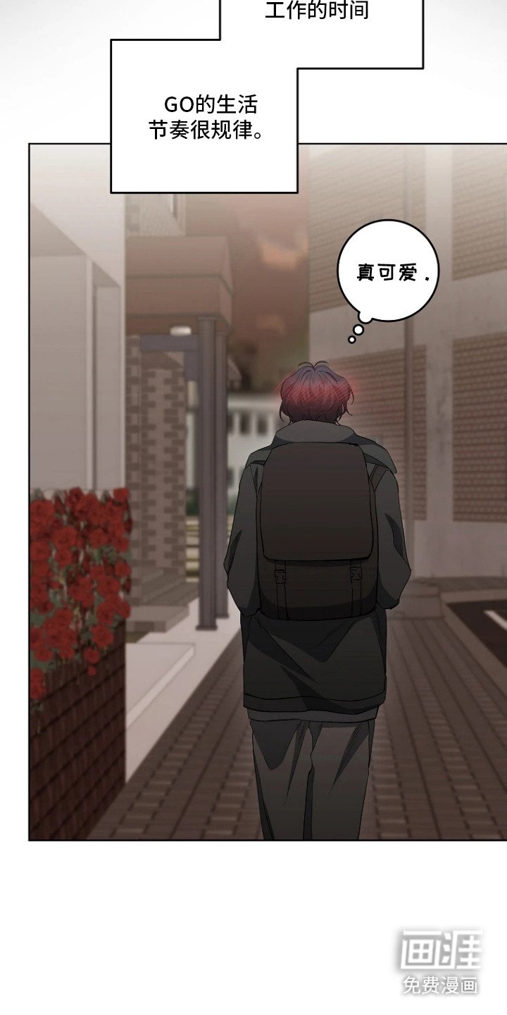 第8章：收藏品