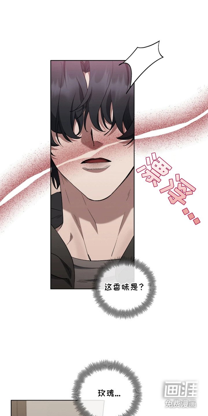 第8章：收藏品