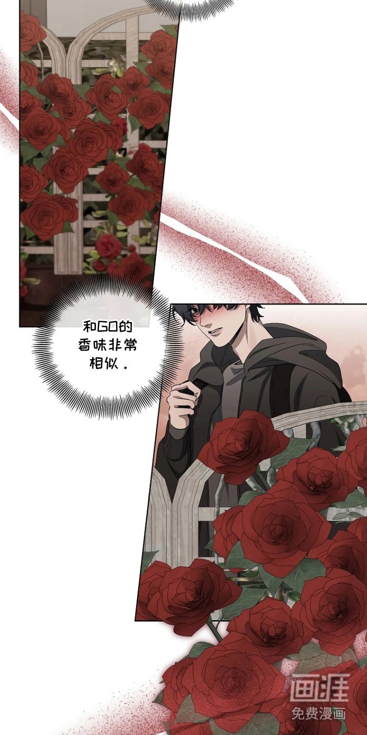第8章：收藏品