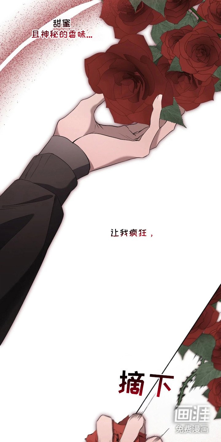 第8章：收藏品