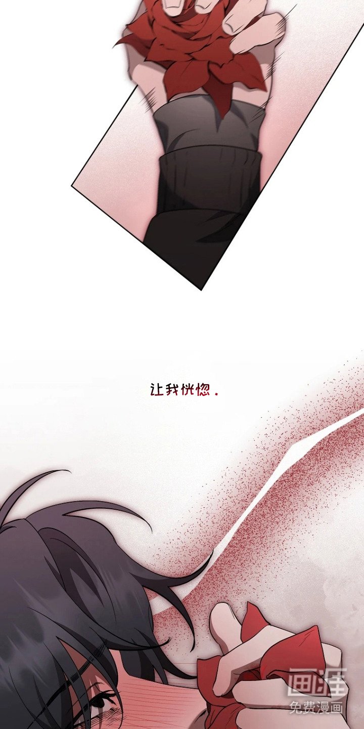 第8章：收藏品
