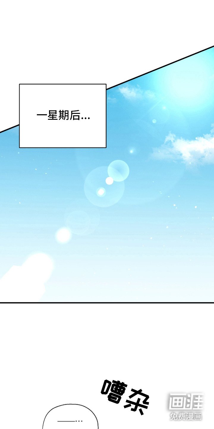 第16章：毕业展览