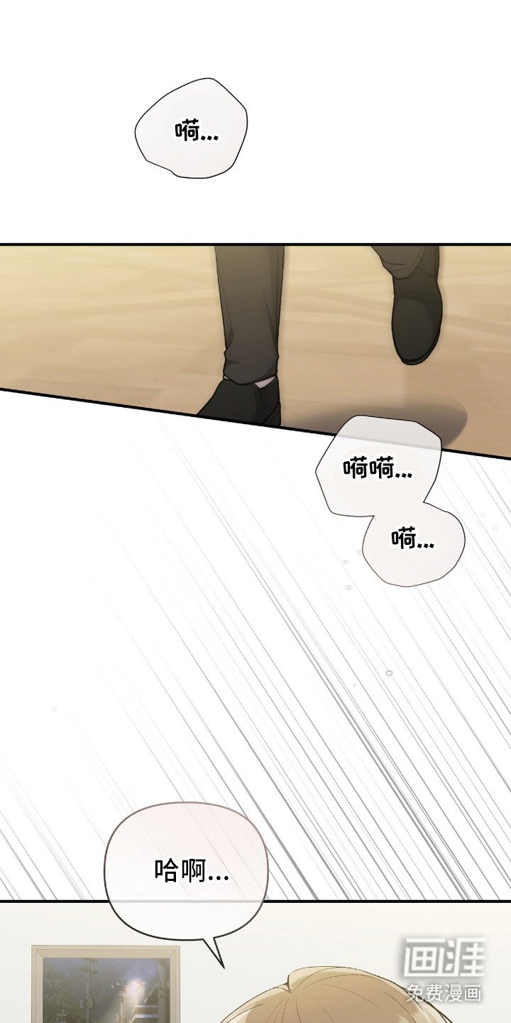 第17章：再次见面