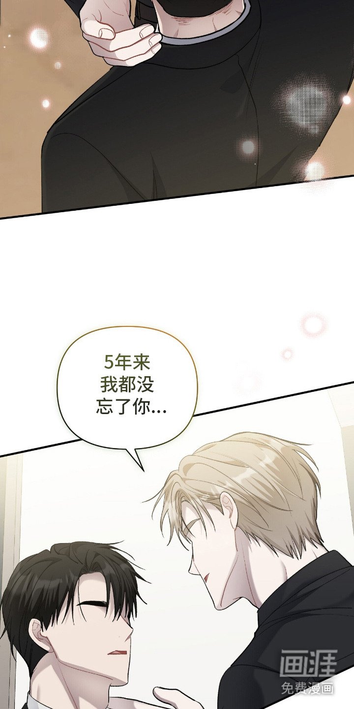 第17章：再次见面