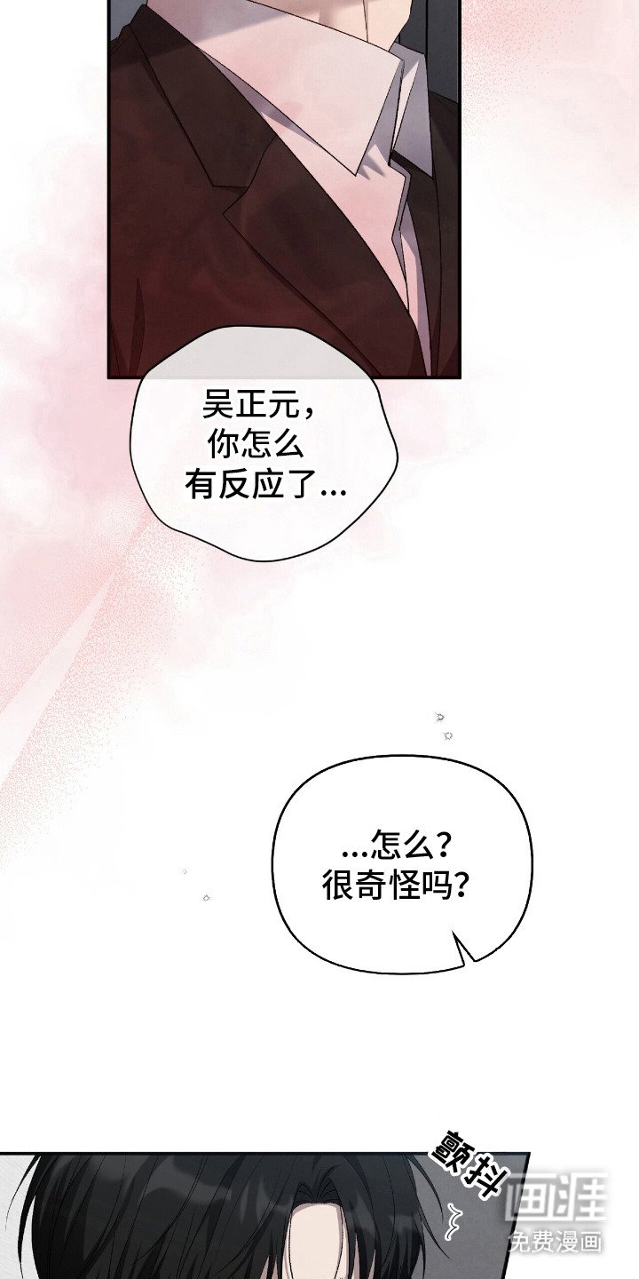 第23章：无法忽视