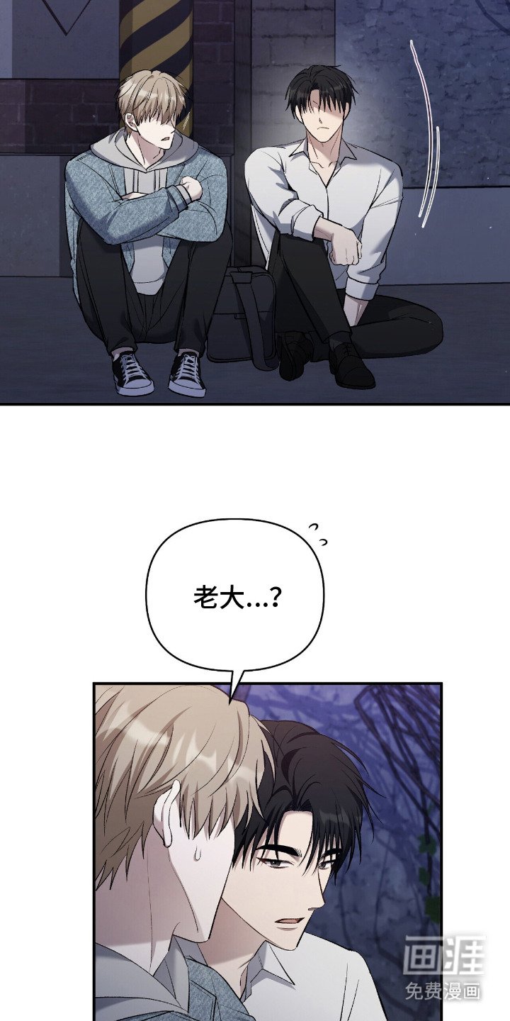 第25章：不是菜鸟