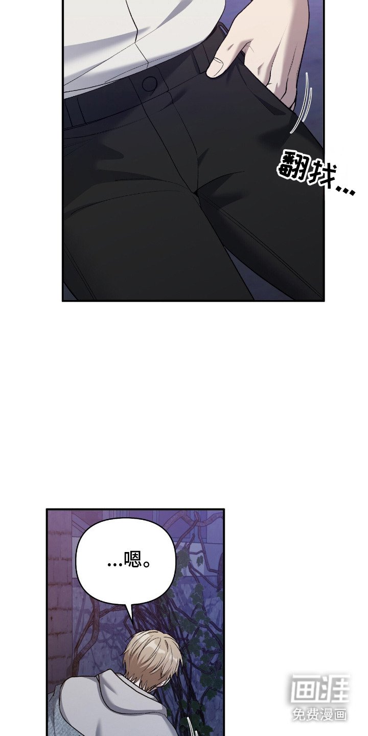 第25章：不是菜鸟
