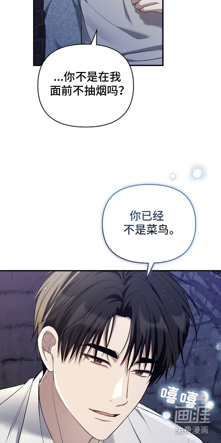 第25章：不是菜鸟