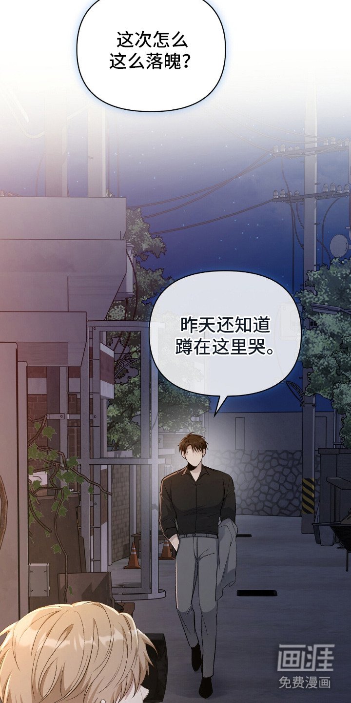 第5章：汇报
