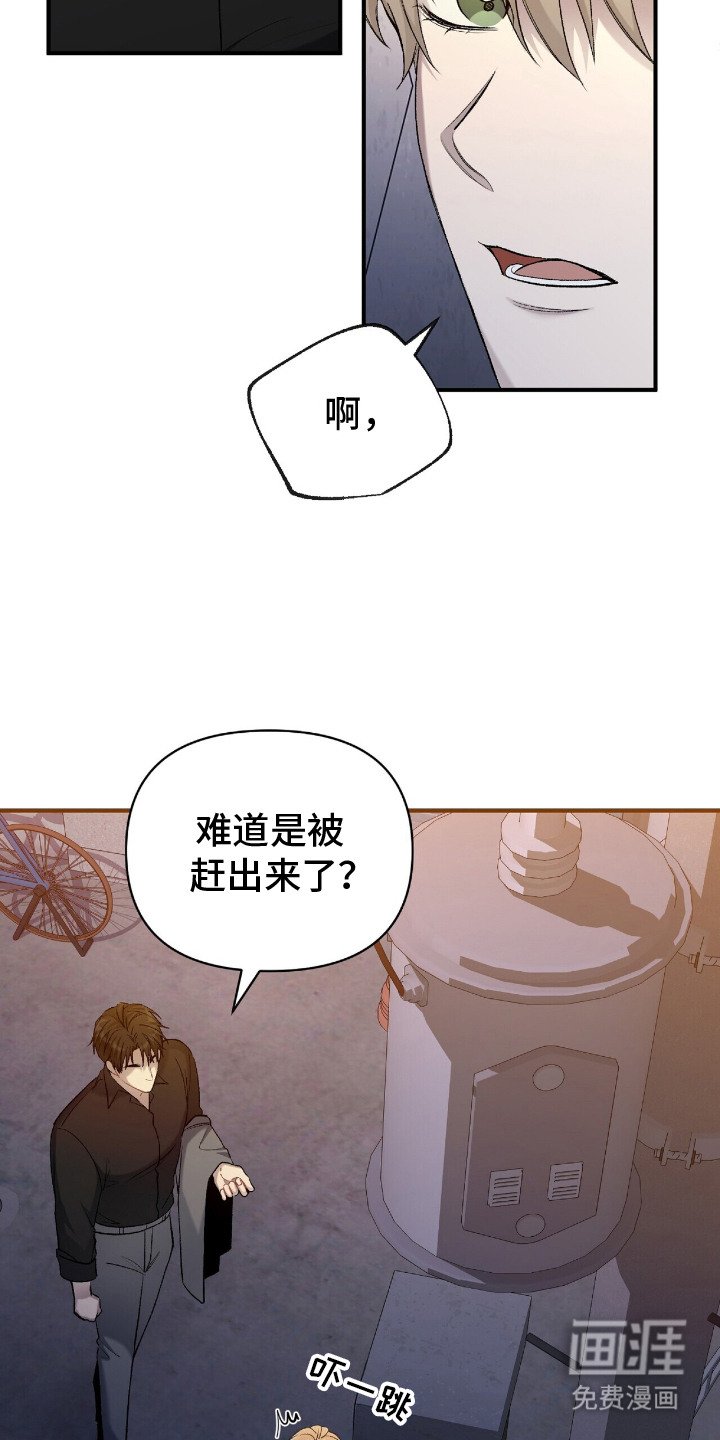第5章：汇报