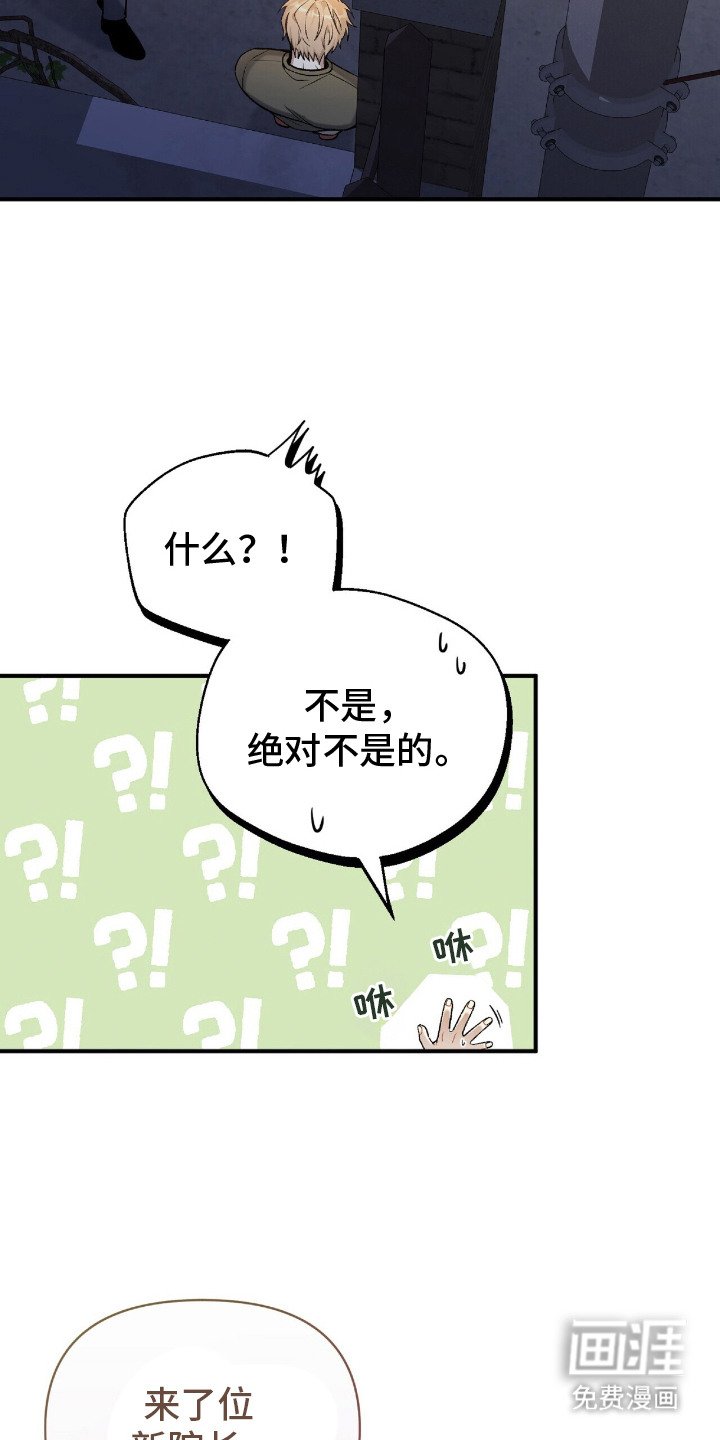 第5章：汇报