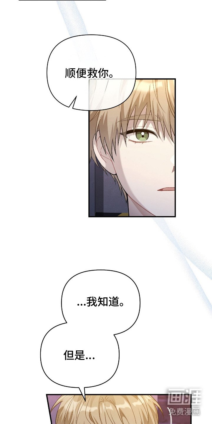 第5章：汇报