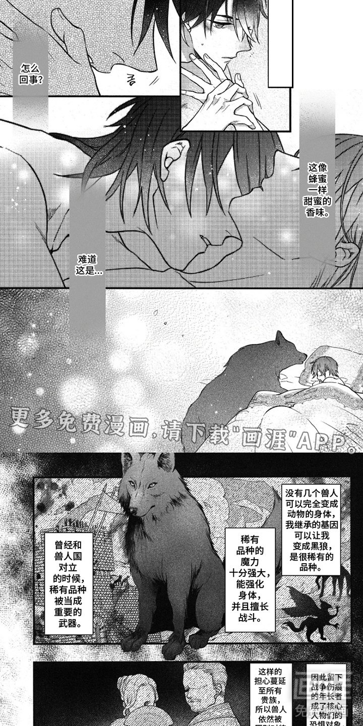 第16章：令人安心