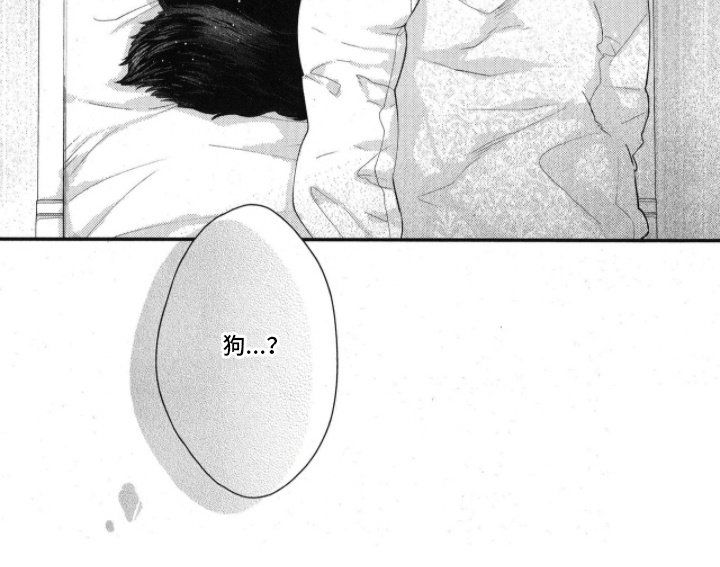 第5章：受伤
