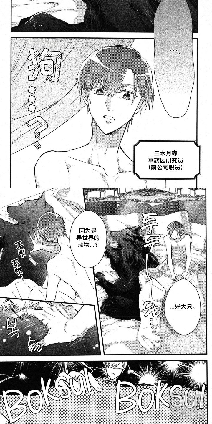 第6章：大狗狗