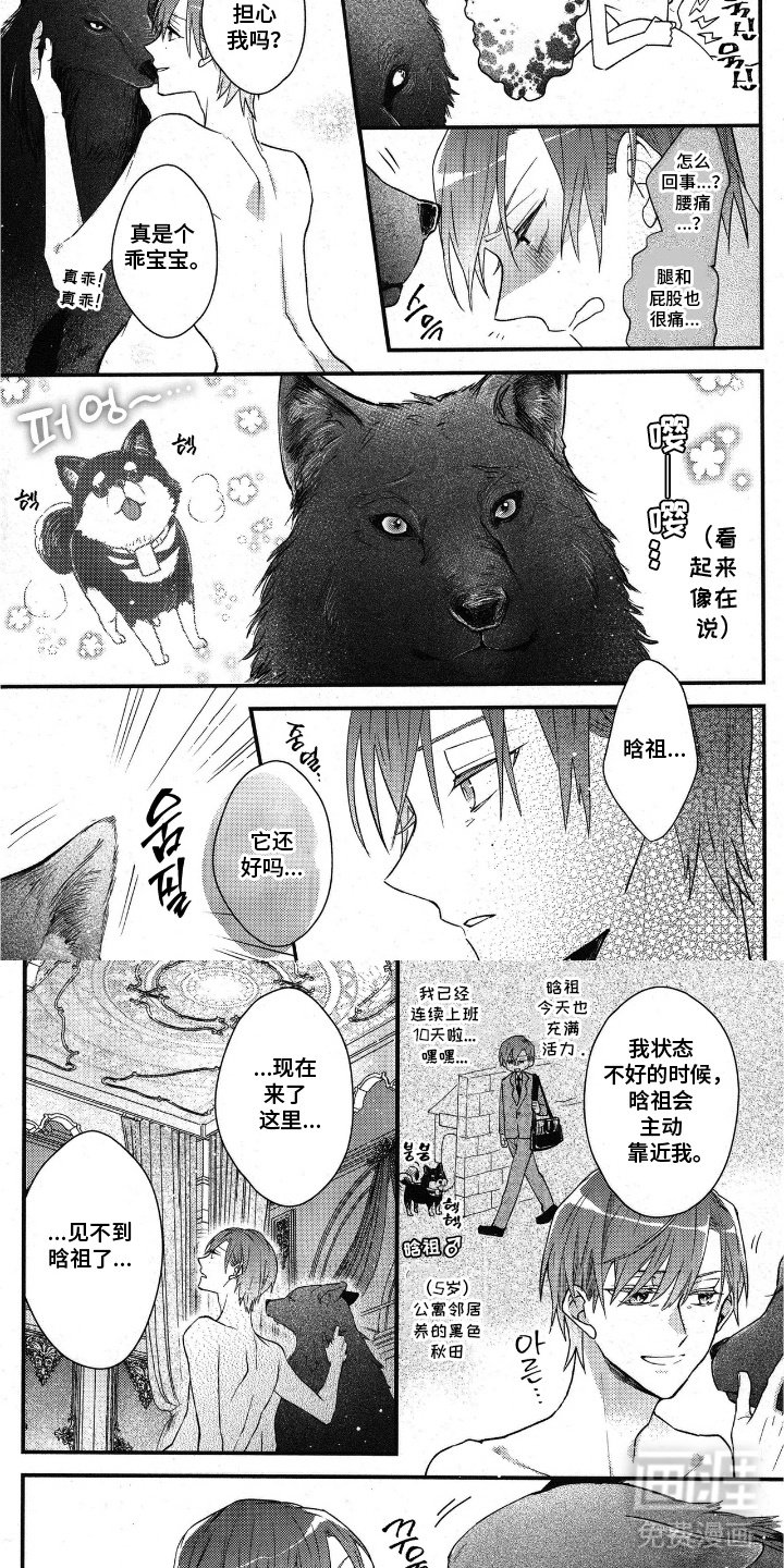 第6章：大狗狗