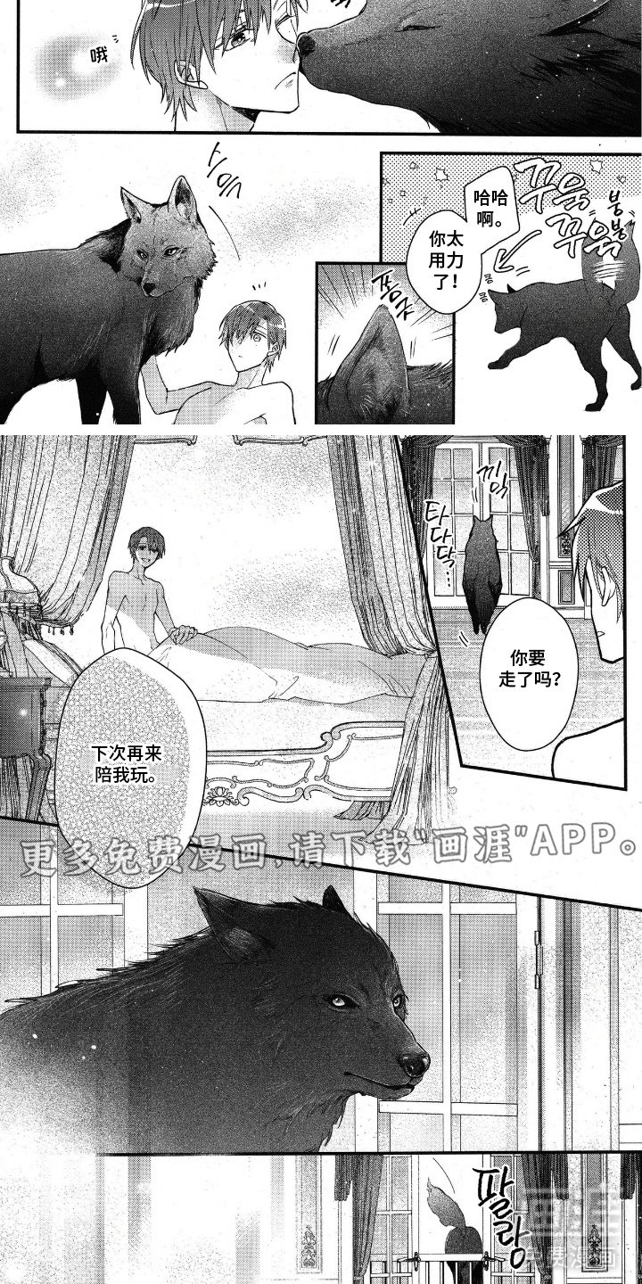 第6章：大狗狗