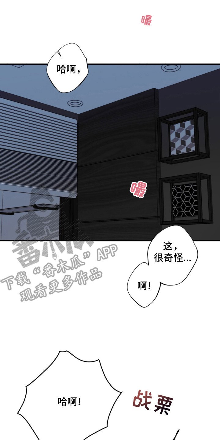 第1章：因果报应